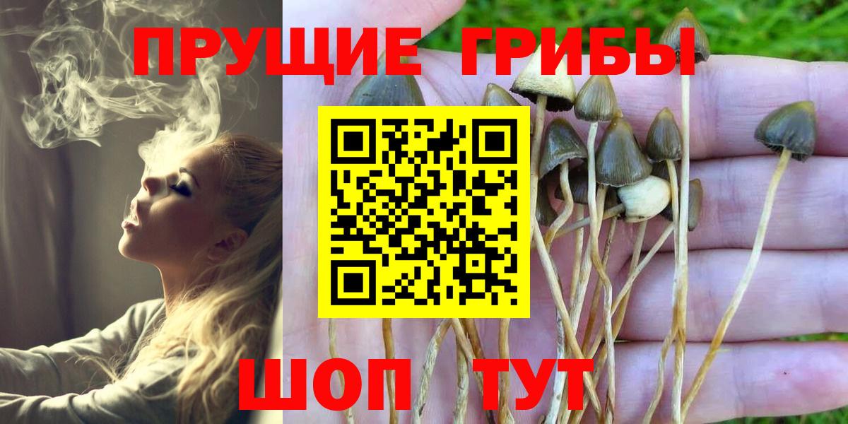 Псилоцибиновые грибы ЛСД Фрязино
