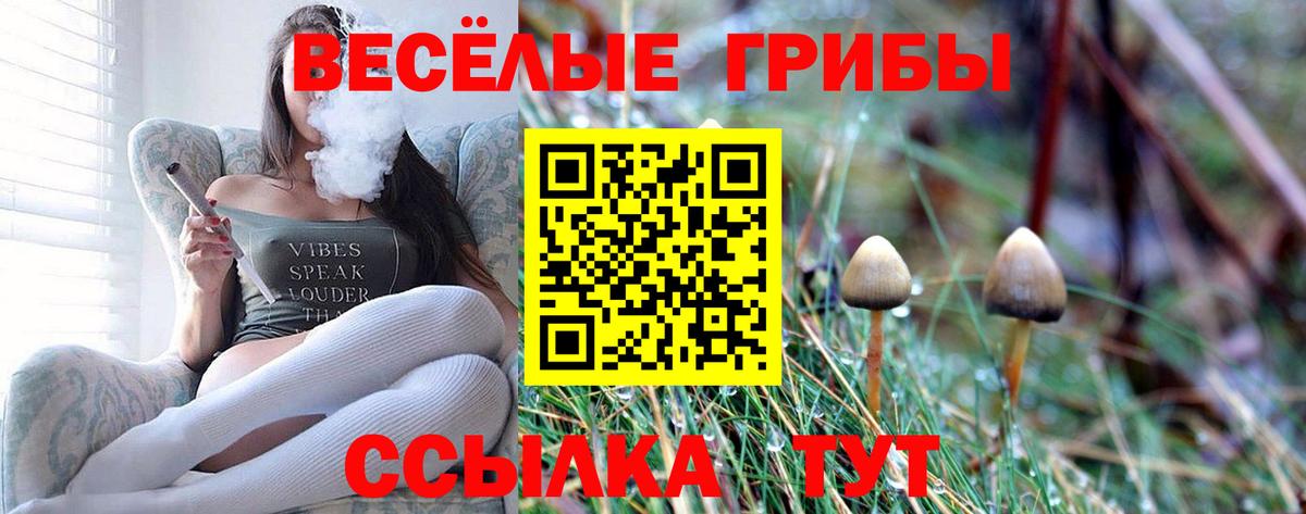 Галлюциногенные грибы ЛСД  Вход с VPN  купить  цена  Фрязино 